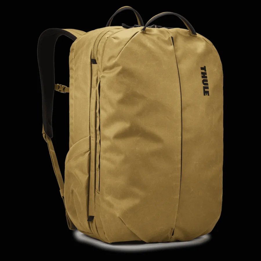 Hot Thule Aion
