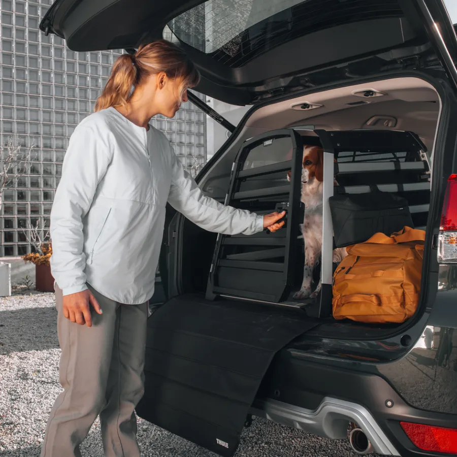 Clearance Thule Allax M
