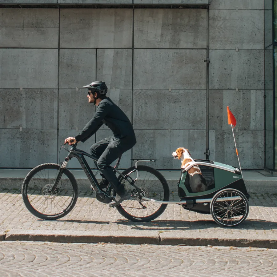 Outlet Thule Bexey M