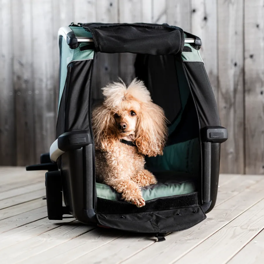 Outlet Thule Bexey M