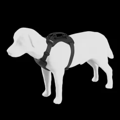 Discount Thule Cappy