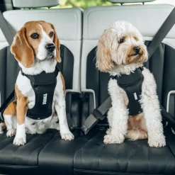Discount Thule Cappy