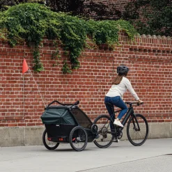 Discount Thule Chariot Cab