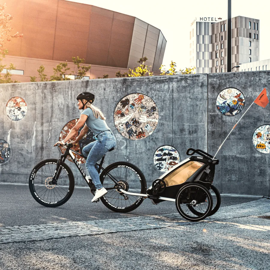 Clearance Thule Chariot Lite double