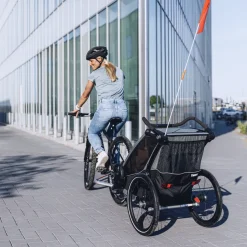 Online Thule Chariot Lite double infant bundle