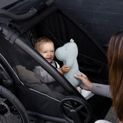 Online Thule Chariot Sport 2 single