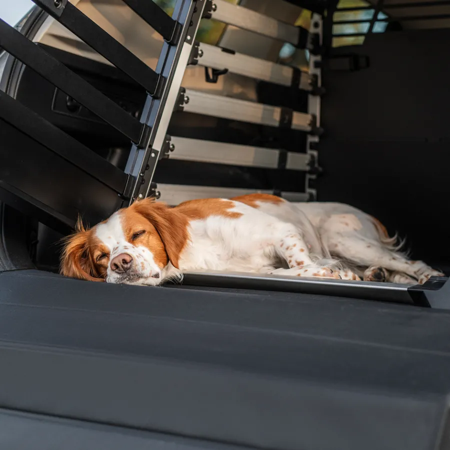 Outlet Thule dog mat wide