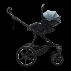 Clearance Thule Maple