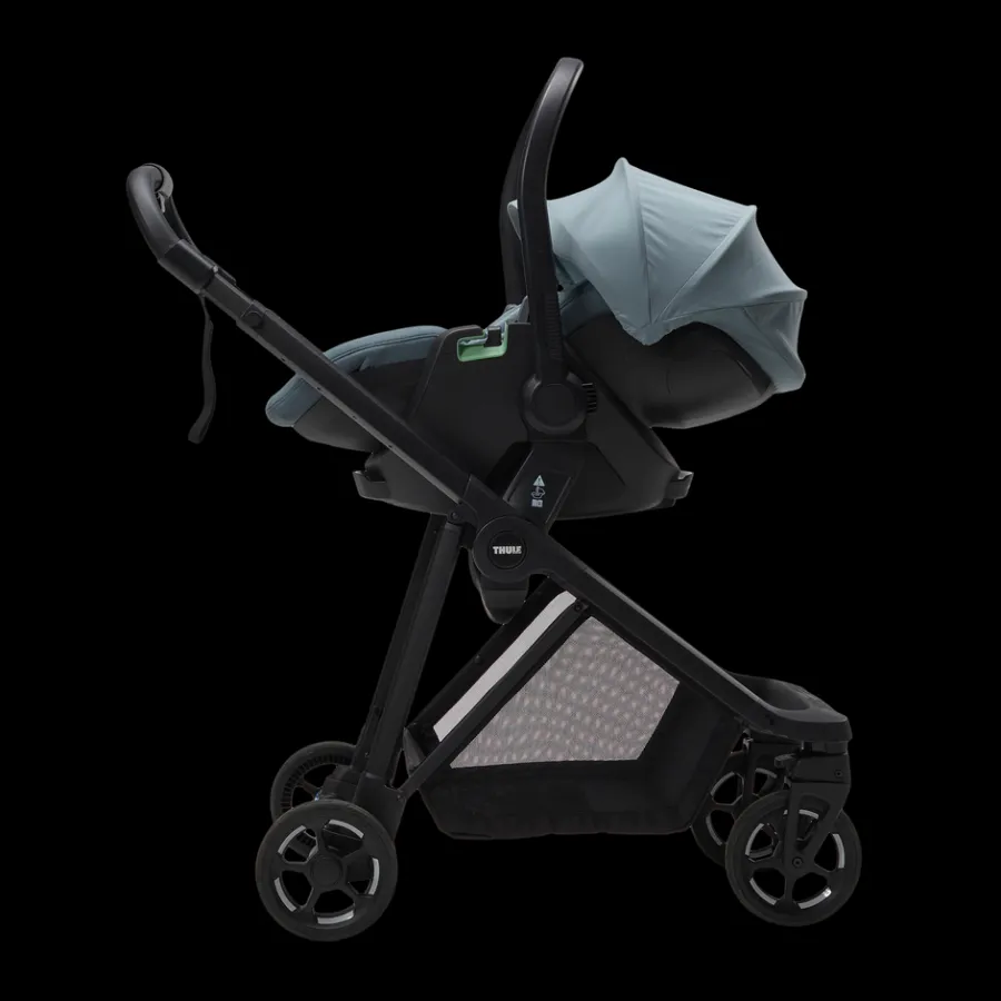 Clearance Thule Maple