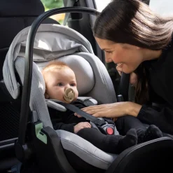 Clearance Thule Maple