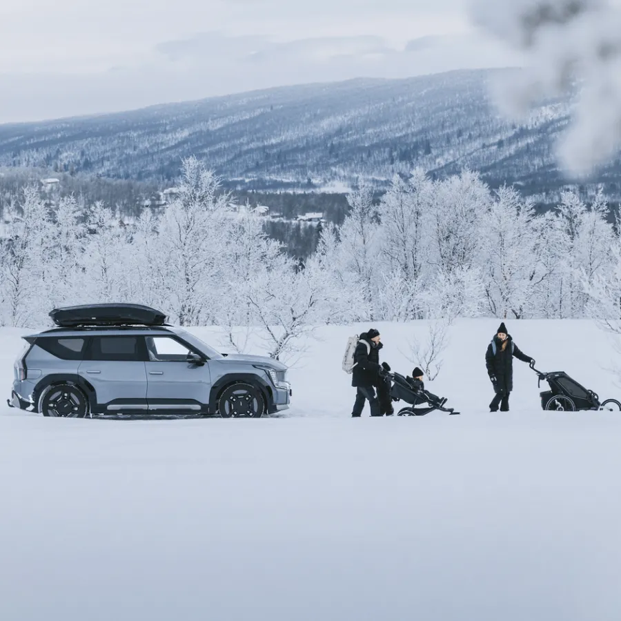 Hot Thule Motion 3 storage bundle
