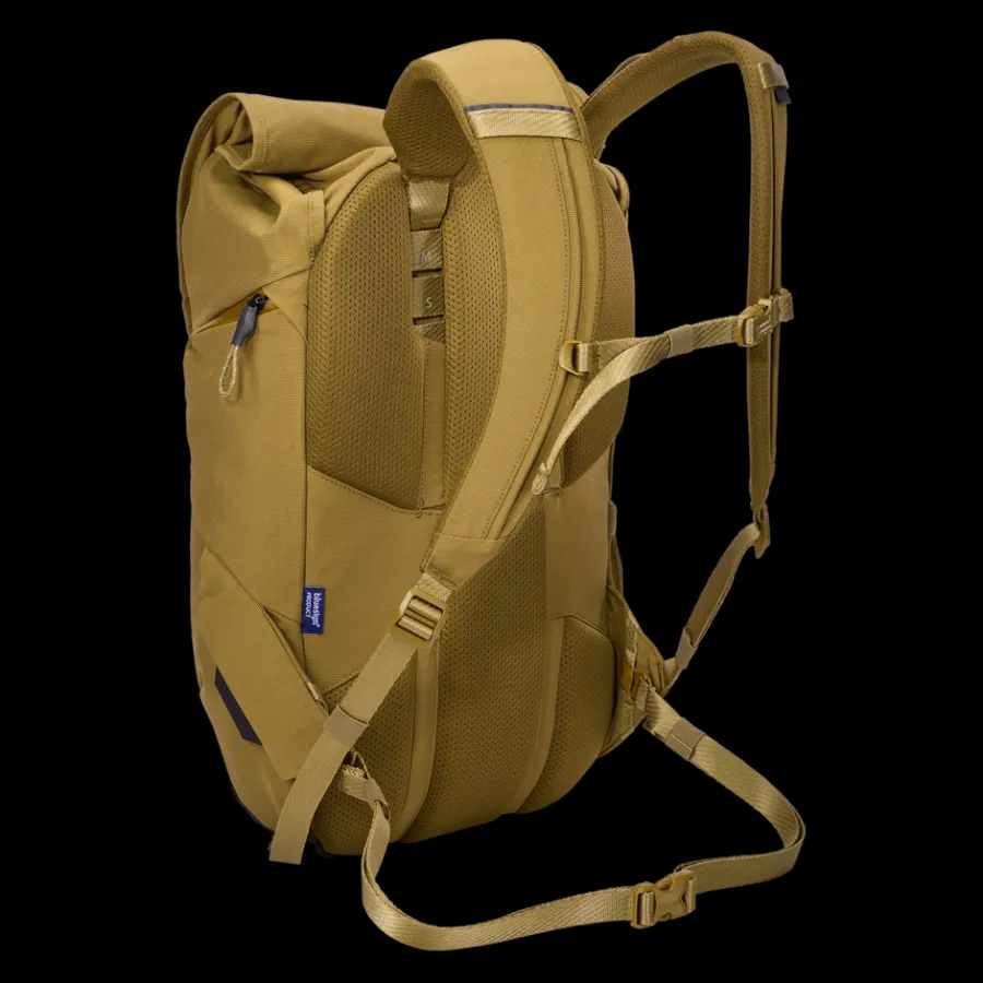Best Thule Paramount