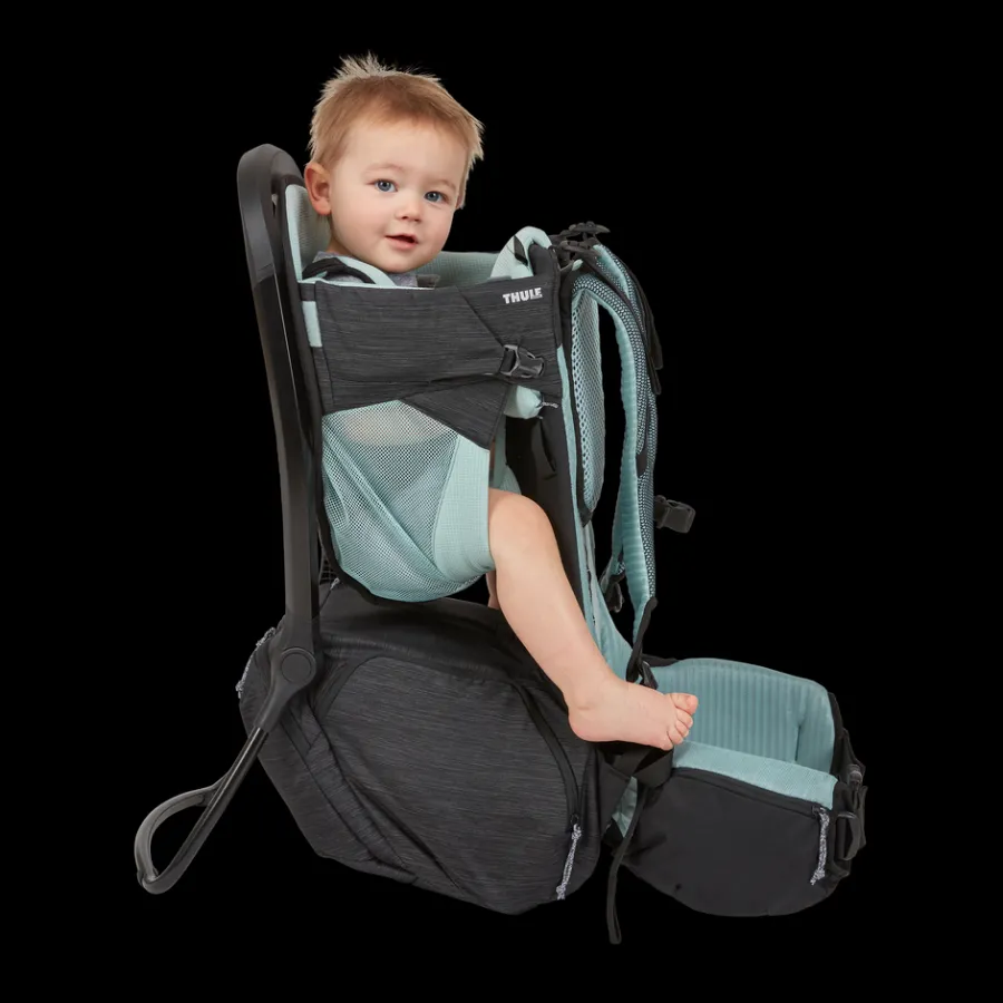Clearance Thule Sapling