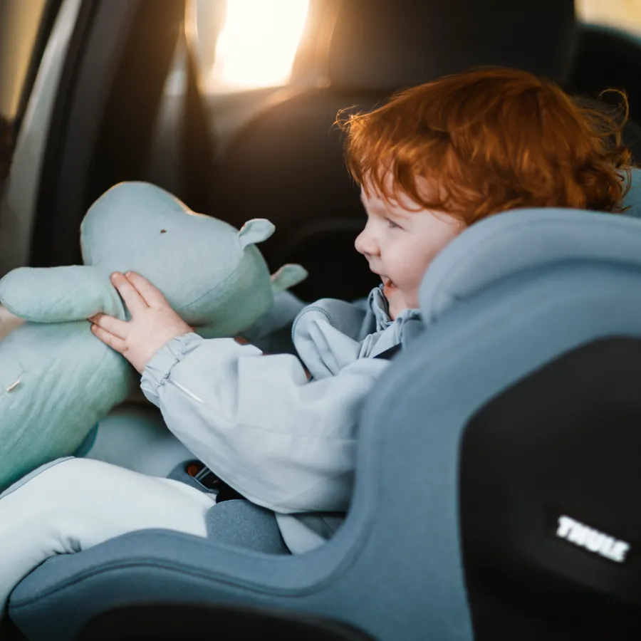 New Thule Toddler starter bundle